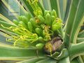 2012年2月8日 (三) 06:51的版本的缩略图